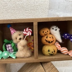 ハロウィンわんちゃん🎃👻