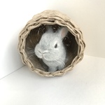 うさぎ 羊毛フェルト ネザーランドドワーフ ミニうさぎ グレー