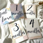 マンスリーカード