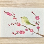 🐤透明水彩画「梅とうぐいす 」 イラストポストカード ２枚セット 　鳥　年賀状　お正月　寒中お見舞い🐤