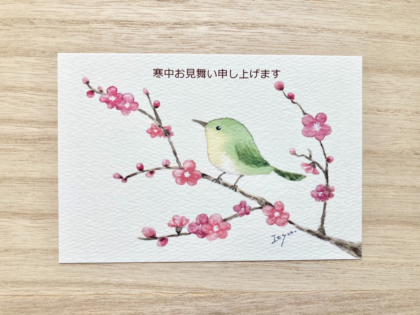 絵（梅にうぐいす、実は目白）フレーム付き 楽天市場】額絵 日本画 花鳥画 春飾り 【紅白梅に鶯】 田村竹世
