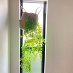 [送料込み] シダN2 フェイクグリーン　羊歯 人工観葉植物　ハンギング　枝　80cm