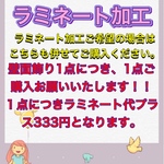 ハンドメイド 壁面飾り ラミネート加工1点分