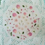 押し花素材274　ピンク系小花のセット
