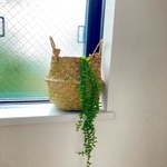 [送料込み] 多肉植物　ハンギング　フェイクグリーン　人工観葉植物　1本　45cm