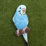 ♡羊毛フェルト　インコさんブローチ♡