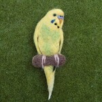 ♡羊毛フェルト　インコさんブローチ♡