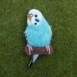 ♡羊毛フェルト　インコさんブローチ♡