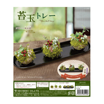 NTR-75　苔玉トレーキット　桃源郷（とうげんきょう）