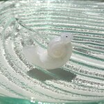🦎スパイラルカメレオン🌀パワーストーン🦎