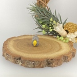 カワウソのマグネット カワウソ かわうそ マグネット 動物 送料無料 Minne 日本最大級のハンドメイド 手作り通販サイト