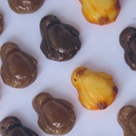 食いつくせハロウィン★チョコなペンギンのおかし