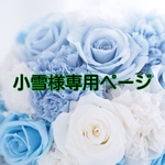 小雪様専用ページ  ダルメシアン着ぐるみ2点