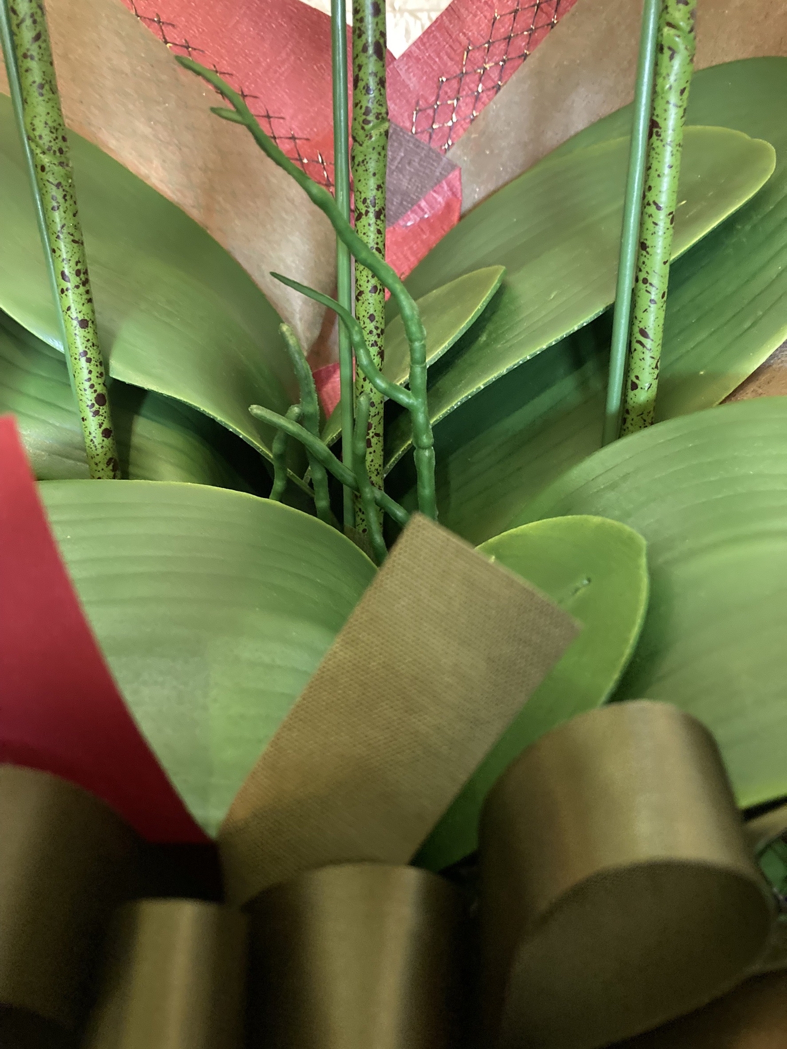 光触媒　人工観葉植物　ウォールグリーン　フェイクグリーン　リアル胡蝶蘭アレンジ! 光触媒 人工観葉植物 ウォールグリーン フェイクグリーン 流木アレンジ