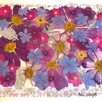 ♡new♡  ♡可愛い押し花セット♡ ♡たくさん入って使いやすい押し花セット♡