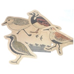 鳥のメッセージレター<シギたちの浜辺>