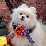 ゴージャスハロウィンチョーカー🎃