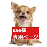 専用ページ