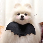 定番❣️ハロウィンモチーフあぶちゃん🦇コウモリ