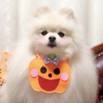 定番❣️ハロウィンモチーフあぶちゃん🎃カボチャ