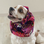 2021ハロウィン★いろいろハロウィンピンク　犬用スヌード　中型犬用スヌード