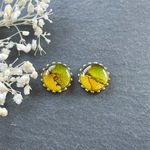 【ピアス/イヤリング】pistàcchio 14㎜