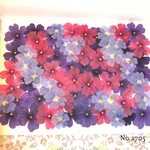 ♡new♡選別前だからお安く♡バーベナの押し花セット♡