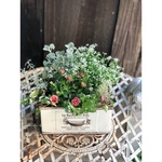 ティロワールプランター　お花の引き出し 寄せ植え②