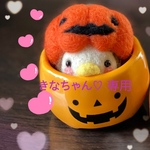 ハロウィン🍬👻🎃ちゅんたろう🎃カボチャ帽子