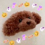 トイプードルのマグネット
