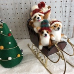 チビコーギー、チビ柴（クリスマス🎄ソリ遊び）