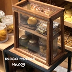 ミニチュア ✳︎ショウケース No.009