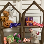 ハロウィンわんちゃん🎃👻
