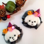 ハロウィン🎃マルチーズちゃん☆ブローチ