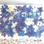 ♡new♡作家様必見♡ 人気の紫陽花MIXセット♡押し花セット