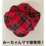 みーちゃんママ様専用！