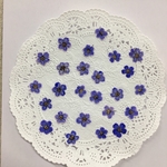 NO.480 再販✨小さな小さなコデマリ パープル／押し花素材