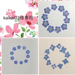 kaikai03様専用天然押し花素材