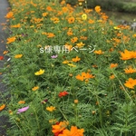 s様専用ページです。