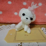 あみあみMaltese　as