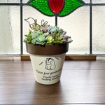 ハムスター柄入り多肉寄せ植え【鳥ピック付き】Mサイズ
