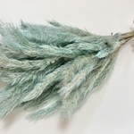 チガヤ＊４０本