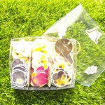 NO.540　菓子箱みたいな　押し花　 シール　箱入り　120枚