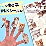 ☆うちの子☆耐水・光沢シール(20枚)A4ぎっしりサイズ
