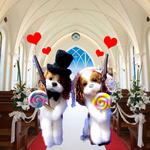 ★Ｙ様オーダー作品★Weddingキャバちゃんメモスタンド★犬★毛糸