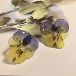 ビオラのピアス　ドライフラワー