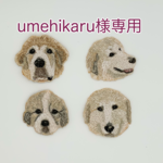 umehikaru様専用