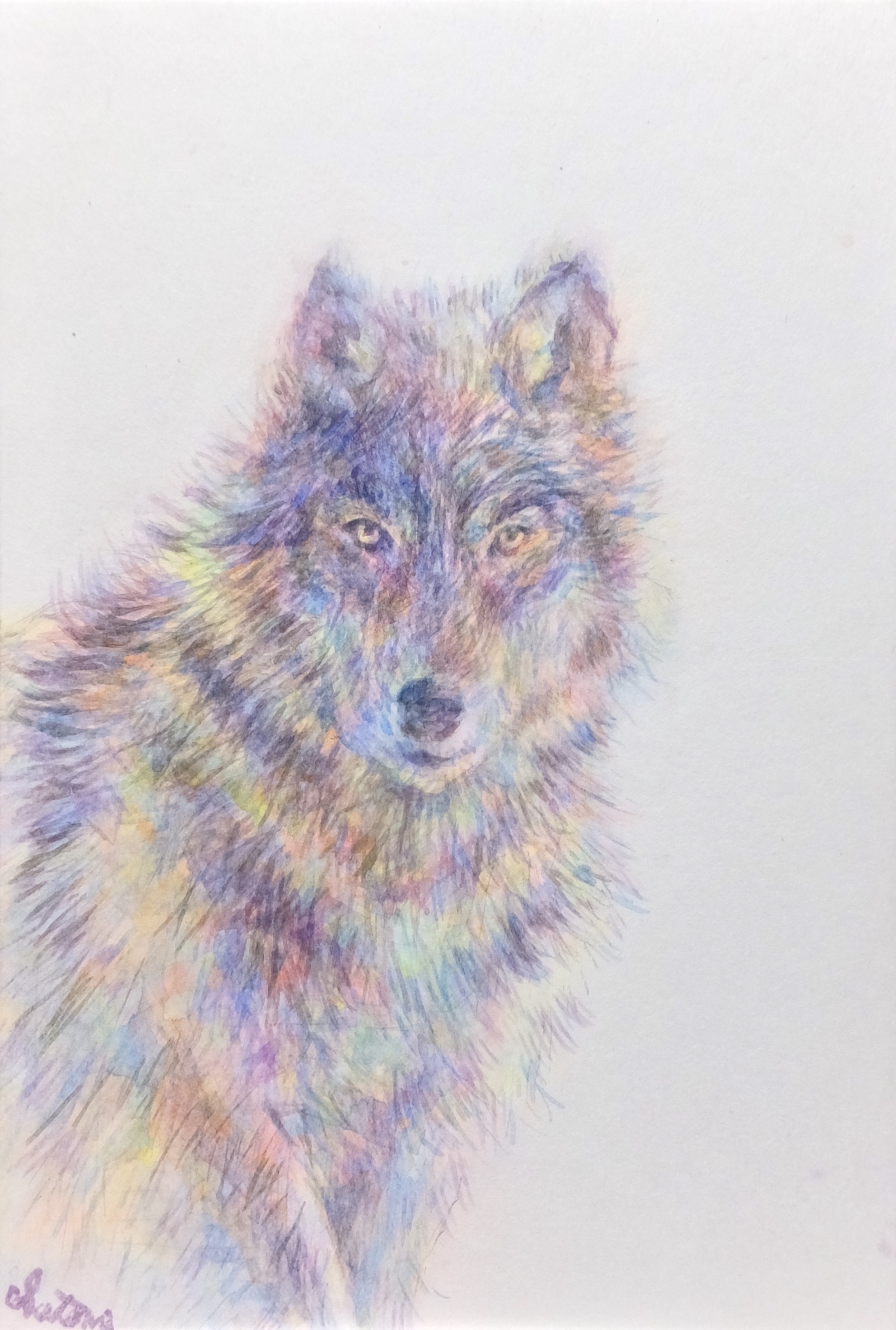 油絵原画 狼 油絵 赤ずきんと狼 油絵 原画 手描き オリジナル 赤ずきん