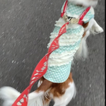 犬服　グリーン＆ホワイトギンガムチェックスムースニット＆オフホワイトスムースの斜め切り替えフリルワンピース　新作💕
