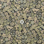 pさま＊専用ページ